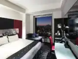 Двухместный номер Deluxe с видом на город