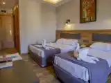Трёхместный номер Deluxe