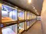 Мужская капсула