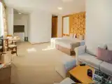 Двухместная студия