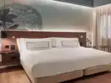 Двухместный номер Premium