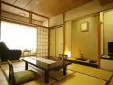 Номер Japanese-Style Стандарт