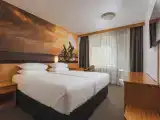 Двухместный люкс с видом на горы