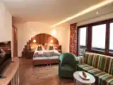 Двухместный полулюкс Panorama