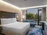 Двухместный номер Deluxe с видом на город