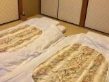 Номер Shuusui/Baikyou with Hot Spring Bath (Annex)