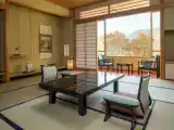 Номер Стандарт Japanese-Style