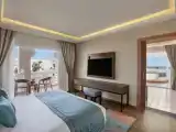 Двухместный люкс с видом на бассейн