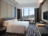 Двухместный номер Executive Lounge Access Guest с видом на город