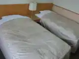 Двухместный номер с видом на гору Фудзи