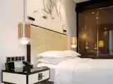 Двухместный номер Lounge Access Executive Premier