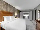 Двухместный люкс Spa