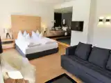 Двухместный полулюкс Panorama