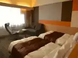 Номер Стандарт с видом на горы