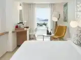 Двухместный номер Aegean