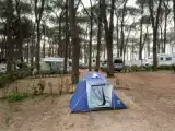 Hu camp Easy