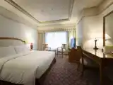 Двухместный номер Premium с видом на город