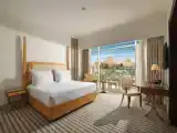Двухместный люкс King Tut with pyramids view