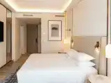 Двухместный люкс c 1 спальней с видом на город