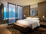 Двухместный люкс Executive Lounge Access Presidential c 1 комнатой с видом на город