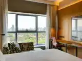 Двухместный номер Deluxe с панорамным видом