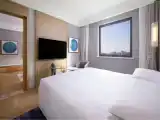 Двухместный люкс Executive c 1 комнатой с видом на город