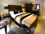 Двухместный номер Decadent
