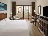 Двухместный люкс Executive c 1 комнатой с балконом