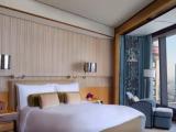 Двухместный номер Club Lounge Access (for 2 people only) Skyline View