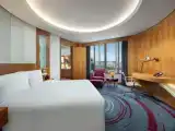 Двухместный люкс Lounge Access c 1 комнатой