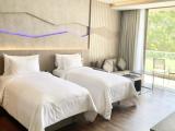 Двухместный номер Premier Comfy