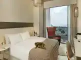 Двухместный номер club