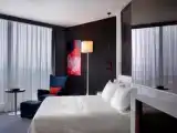 Двухместный люкс Club Lounge Access Signature с видом на Босфор