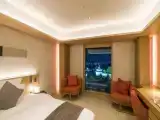 Двухместный номер Стандарт with castle view