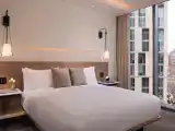 Люкс с видом на парк
