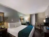 Двухместный номер Executive Level