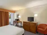 Двухместный люкс студия