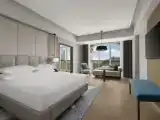 Двухместный люкс cемейный