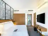 Двухместный люкс клубный Lounge Access Diplomatic c 1 комнатой с балконом и с красивым видом из окна