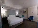Двухместный номер Pet Friendly