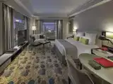 Двухместный клубный номер Executive с видом на парк
