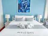 Двухместный номер Premium Deluxe с балконом и с видом на город