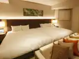 Номер King Twin