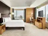 Двухместный номер клубный Premier с видом на парк