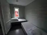 Cabin Forest