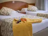 Двухместный номер с видом на бассейн