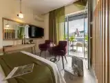 Двухместный номер Executive с балконом и с видом на город