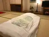 Номер Traditional Formal Style: Kiku