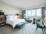 Двухместный номер Premier с видом на город