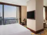 Двухместный номер Premier with Hill View Skyline